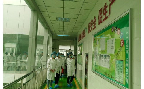 值公司成立十周年慶典，公司贊助萬名老人免費游寧夏系列活動