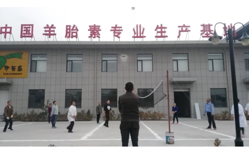 排球傳溫情，員工齊聚心
